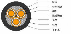 3*2.5，3*3，3*4，3*6，3*10，3*16，3*25屏蔽電纜結(jié)構(gòu)圖