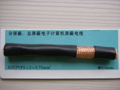 DJYPVP 2*2*0.75 分屏蔽、總屏蔽電子計(jì)算機(jī)屏蔽電纜