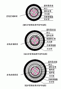 PTYA23、PTYA22鐵路鎧裝信號電纜